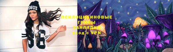 jwh Богородск