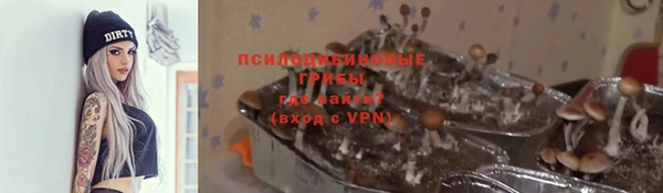 jwh Богородицк