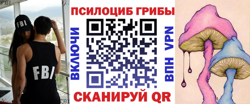 Купить где  Сертолово  Галлюциногенные грибы MAGIC MUSHROOMS 